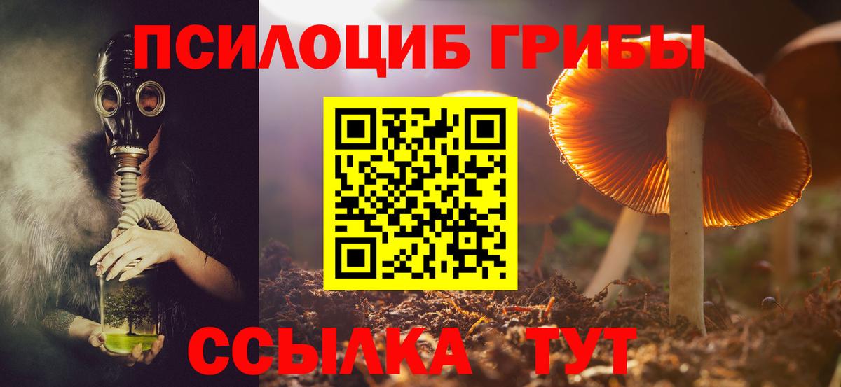 Псилоцибиновые грибы Psilocybe  Псилоцибиновые грибы ЛСД  Сухой Лог  Вход с VPN 